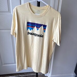 Patagonia Mountain Logo Tee